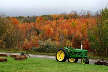 秋の紅葉とジョンディアトラクターの写真