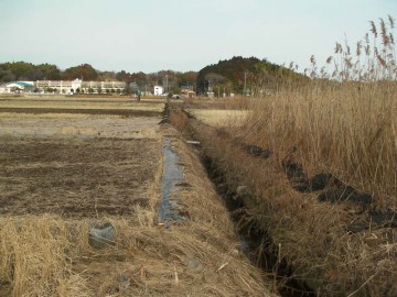実際の周りの田んぼは畔を作り直したり、泥上げをしたり、メンテナンス中です。これは水路の泥上げをしているところ。