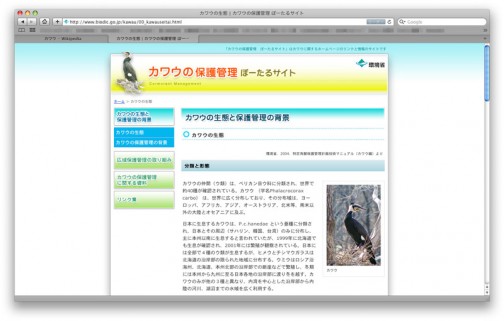環境省「カワウの保護管理ぽーたるさいと」（http://www.biodic.go.jp/kawau/index.html）なるもの発見！