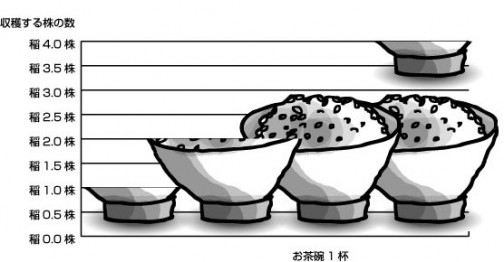 稲の株とお茶碗の関係グラフ