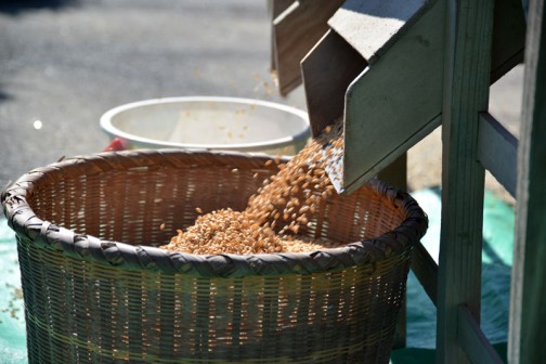 常澄産コシヒカリ/飼料稲の生産　水戸市大場町島地区生産組合　年代物の唐箕