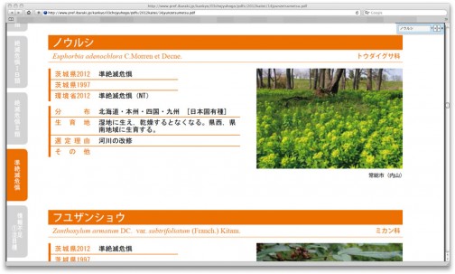 茨城県版レッドデータブックでも、準絶滅危惧種に指定されていますね！
