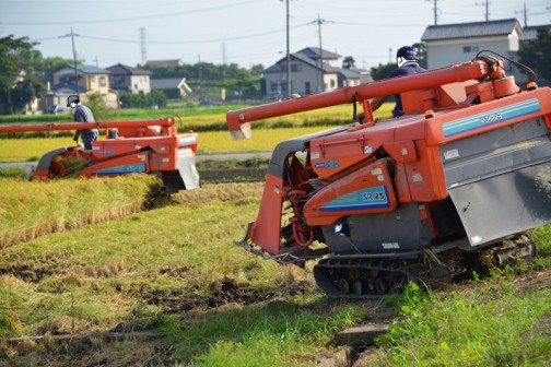 稲刈り2014、1枚の田んぼに2台のコンバイン！