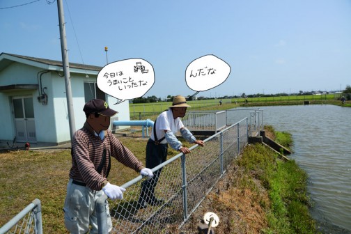 水戸市大場町島地区農地水環境保全会の草刈り。8月9日の活動の様子。