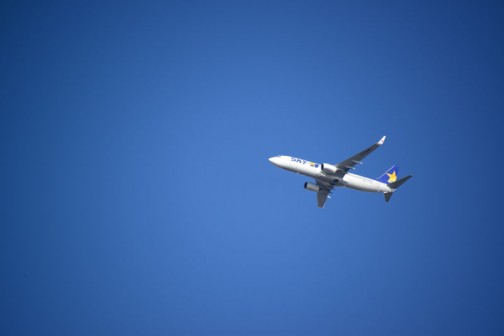 お茶の人たちも上を飛んでいくボーイング737-800。ジェット機が飛ぶコースって結構幅があるんですね。こんなところを飛ぶこともあれば、2〜3キロ離れた高速道路の上あたりを飛んでいくこともあります。