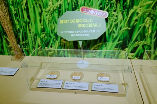 このケースに入った3つの籾たち・・・かつて冷害から多くの日本人を救った時代のお米の祖先だそうです。 タイトルは、陸羽132号なくして皆のご飯なし！