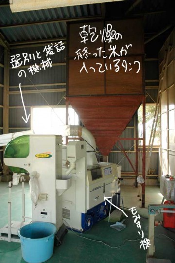 機械一式。タンクからもみ付きの米がもみ摺り機に入って、それが選別袋詰め機に繋がっています。