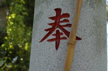 八坂神社祭礼の時の青竹は黄色くなっています。