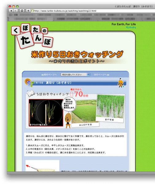 くぼたの田んぼWEBサイト　よくできてます。http://www.tanbo-kubota.co.jp/watching/　夏休みの自由研究にもいいね！