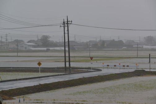 10/26日、台風26号の影響で雨ザーザーの時の画像。水路も田んぼも見分けがつかなくなっています。