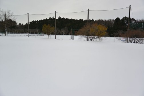 かつて震災瓦礫置場で、お父さんソフトボールの会場もこんなことになってます。雪は15センチ〜20センチくらいですかねえ・・・　景色が違って見えます。