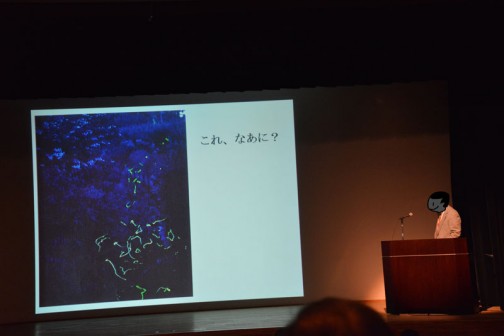 表彰された茨城県笠間市の活動体「岩間上郷地域ホタル増やそうかい」の事例発表です