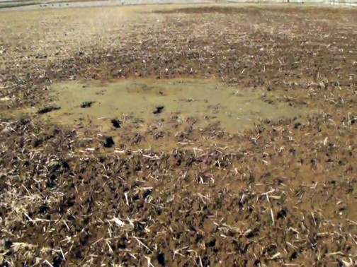 2011年3月27日撮影：震災で液状化して砂の吹き出した田んぼ。（こういうところもきっと水が溜まらないのでしょうね）