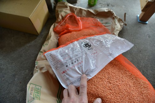 使う農薬を減らすことができるらしい、コシヒカリと飼料稲/種籾の「温湯消毒」2014