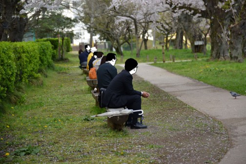 弘道館鹿島神社の桜　ちょうどお昼時。お弁当を広げる前に何となく花見といった感じです。さすがにこの状態でスマホに見入っている人はいません。