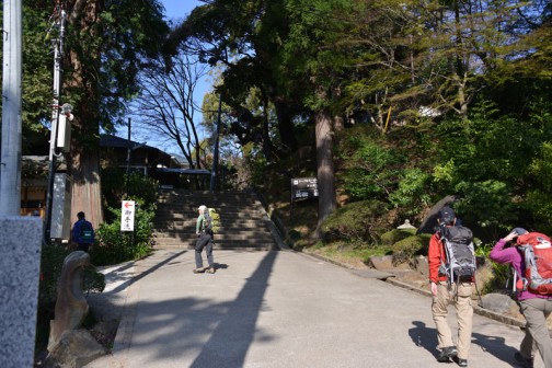 茨城県の代表的な山、筑波山のなかで最も代表的な登山道の御幸ケ原コースその1。約２ｋｍで登り約９０分、下り約７０分だそうです。