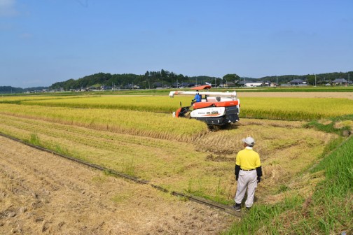 クボタコンバインER108での稲刈りです。人員はオペレーターと玄米を乾燥機へ運ぶ人、それから細かいことをするアシスタントの3人です。