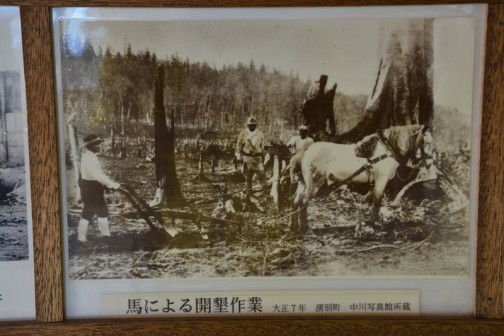 馬による開墾作業　大正7年　湧別町　中川写真館所蔵