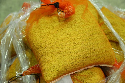 これが「ホシアオバ」の種籾袋らしい・・・オレンジの袋。