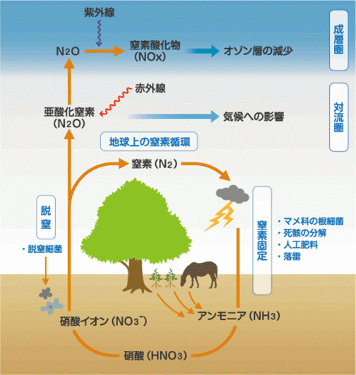 国立研究開発法人理化学研究所の環境報告書でこんな絵を見つけました。温室効果ガスは二酸化炭素（CO2）だけでなく、亜酸化窒素（N2O）というものもあるそうなんです。http://www.riken.jp/kankyohokokusho/2011/e-activities/hi-light1101.html