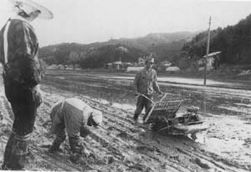 秋田県のサイトの昔の田植え風景の写真を見つけました。昭和42年（1967年）の写真だそうです。苗スライダーの形状とエンジンの位置からクボタの「春風」さんと思われます。