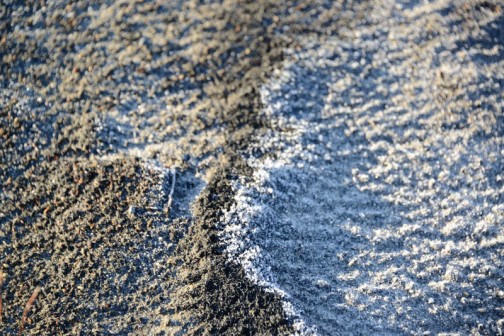 田んぼの法面の籾殻を燃やした灰。大きな砂丘ならぬ灰丘の影は日が当たらないので霜が解けずに残っています。よく見ると灰の風紋それぞれが日のあたる場所そうでない場所の霜の溶け具合が違い、白とグレーの模様を作り出しています。
