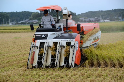 食用米の面積が減っているということは、この機械の出番も年々減っているということなのでしょう。