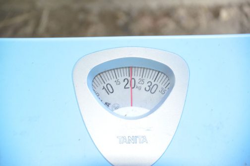気になる重さは21キロ弱。ちょっと体重が気になってきました。