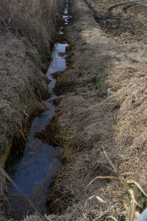 脇の水路はこの状態です。稲わらが排水路に落ち込んで水が流れません。「何とかしなくちゃなー」Mさんは言うのですが、今のところどのような方法をとるのか決まらないようです。