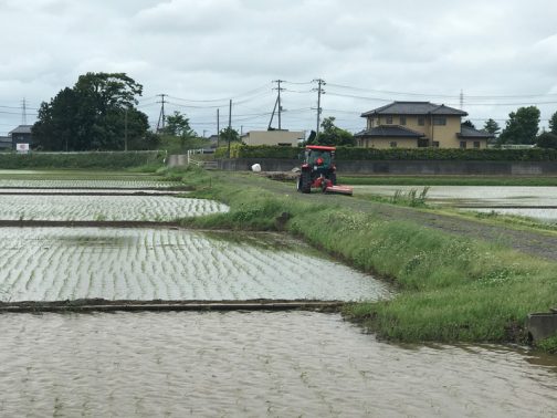 スライドモアの草刈りが始まったことは既にお伝えしました。島地区は活動範囲としては茨城県で最小じゃないかと思っていますが（事例発表などを見ても、中山間部を除きほとんどは倍以上・・・島地区より小さな活動体は見たことがありません）、それでも範囲をみな刈るのに3日ほどかかります。