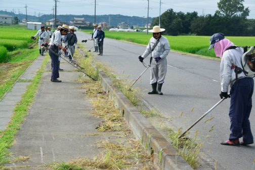 通学路でもあるし、田んぼのある風景としても、これ、絶対にやるべきだと思います。ここの正規の草刈りは年に一遍しか来てくれないんですもの。