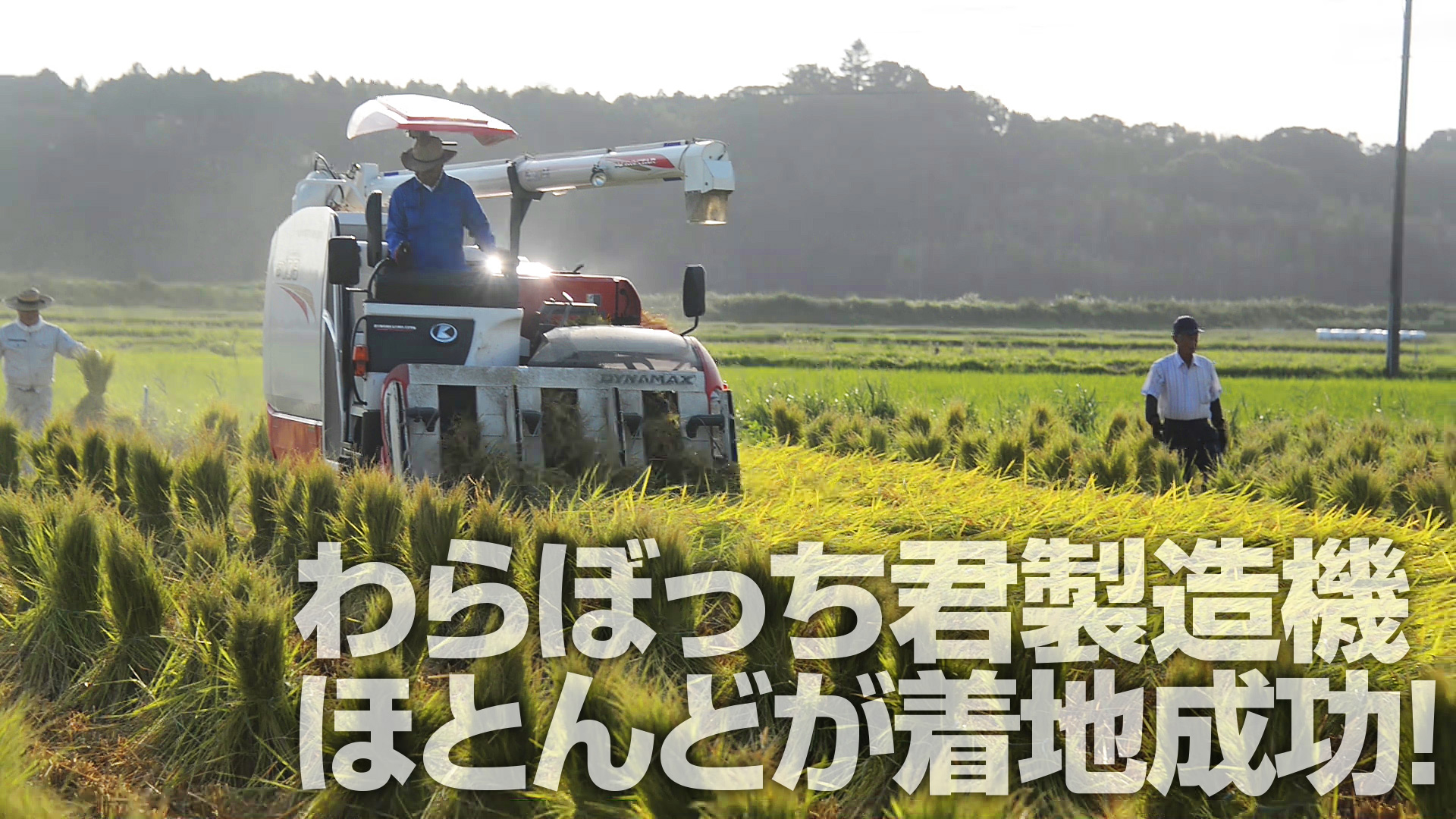 わらぼっち君降下部隊 ほとんどが着地成功 水戸市大場町 島地区農地 水 環境保全会便り