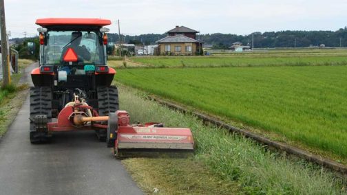 思い返して見ると今年はヘンな年でした。8月の草刈りが最後だとすると、本来ならもっともっと草が伸びているはずです。しかし、それほどでもありません。