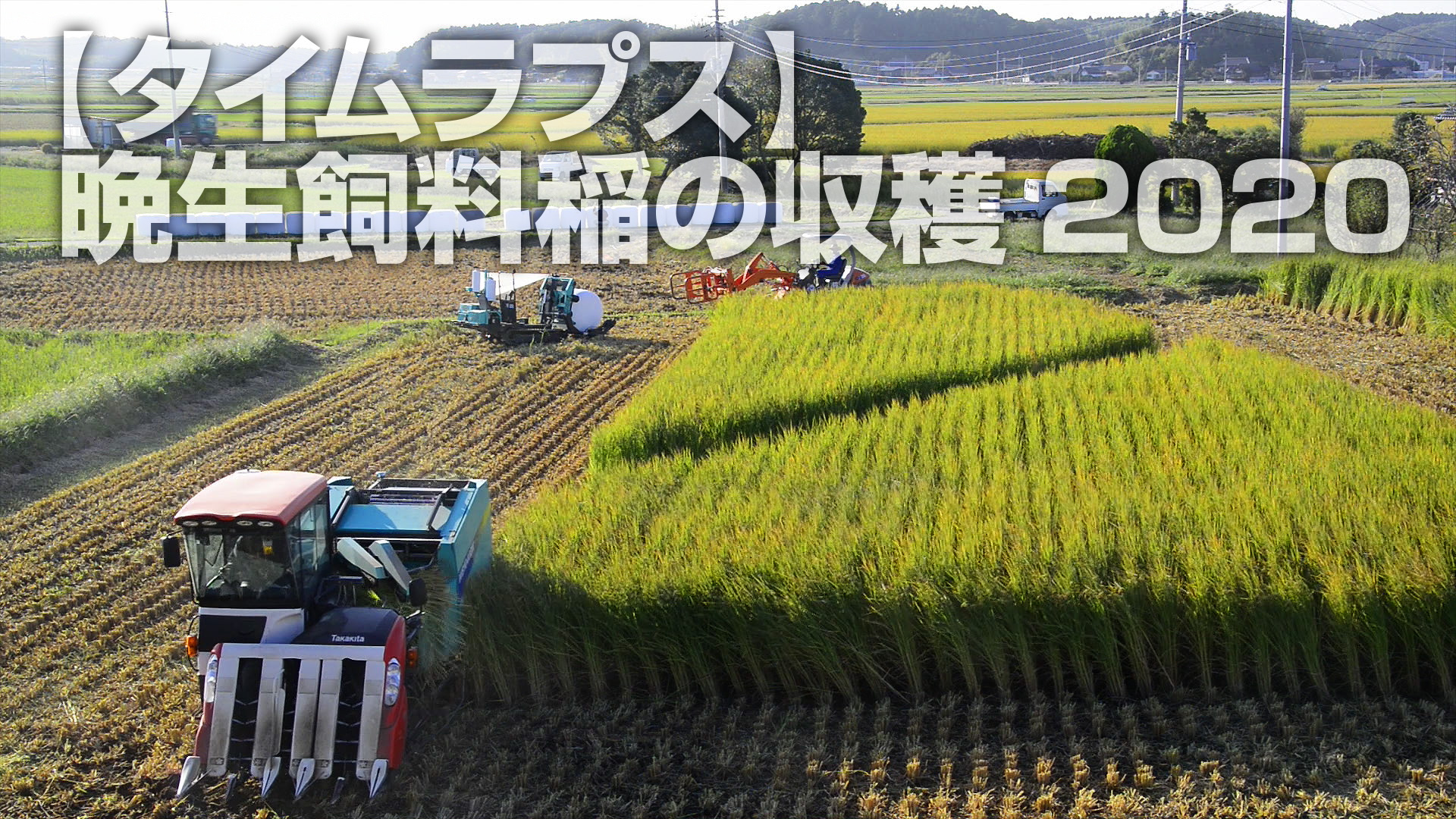 タイムラプス 晩生飼料稲の収穫 水戸市大場町 島地区農地 水 環境保全会便り