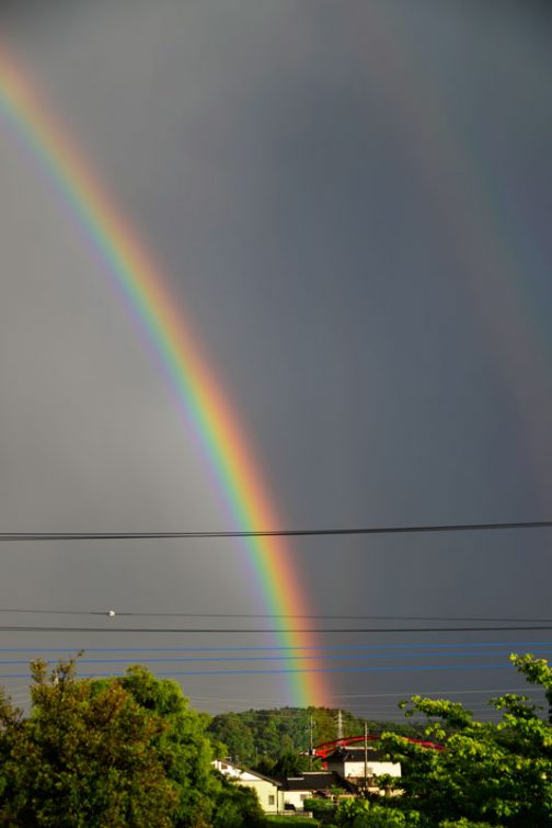 空を二重につなぐでっかい虹も出ていました。あまりに大きいので1枚で撮れません。だから片側だけ。