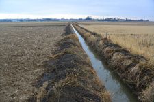 一方水路の泥上げの方です。地元で「アシカキ」と呼んでいる水路の中を網の目のように繁茂する草と泥でいっぱいになっていたそうで、排水路の両脇にずーっと上げられているのがわかります。