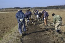 ただ、削った中央部分は草の根が土をしっかり抱えていて、なかなかバラバラになりません。もう、そのままの状態でジャガイモの皮をむいたように今までの場所に存在しています。はじめのうちはこのように手でどかしていましたが・・・