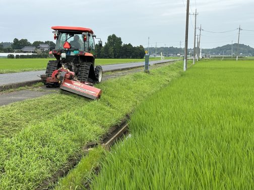 島地区の環境保全会では、全体でやる草刈りの前にあらかじめ機械で全地区を草刈りします。（3日かかります）で、機械が届かなかったりで刈れない部分を刈り払い機でヒトが刈るというわけ。ですから広い部分がいっぺんに綺麗になります。