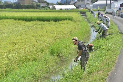 水路の草刈りをしながら集落センターに戻ります。