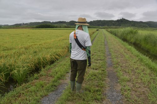 農道の点検