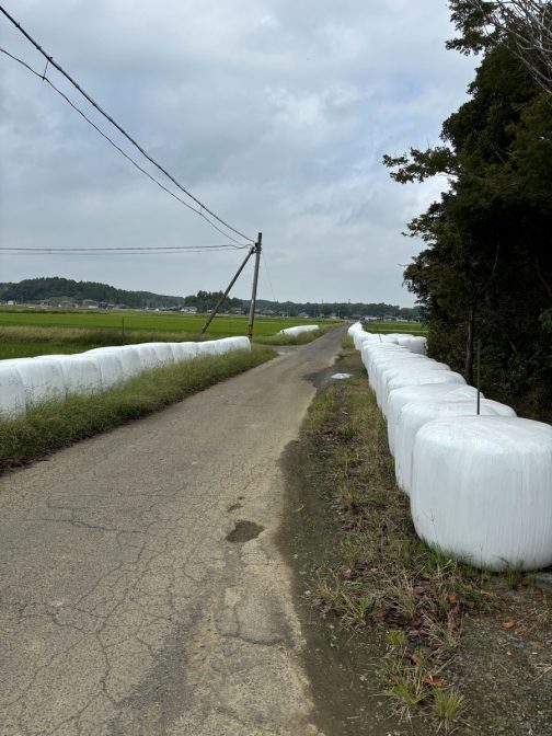 後ろを振り返ってもこの通り。