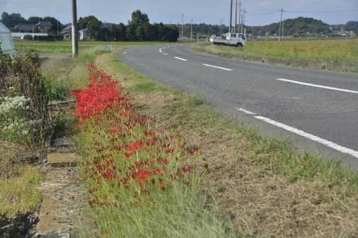 今までこの列はそんなことなかったのになぁ・・・