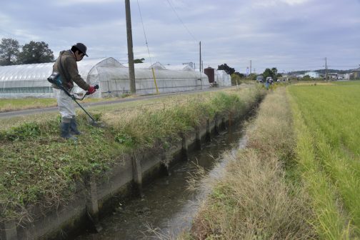 まあ、綿々と農家を続けてきたお家に比べ、これもここ十数年という比較的最近草刈市場に参入した者の至らない感想だとは思うのですけど・・・