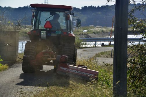 去年より夏が長かったような気がします。その分草も伸びる・・・草刈りは年4回で済んだ時もあったのに、もはや五回がデフォルトになりつつあるような気がします。それどころか5月から11月まで9月を除き毎月の6回に向け爆進中のような気がします。