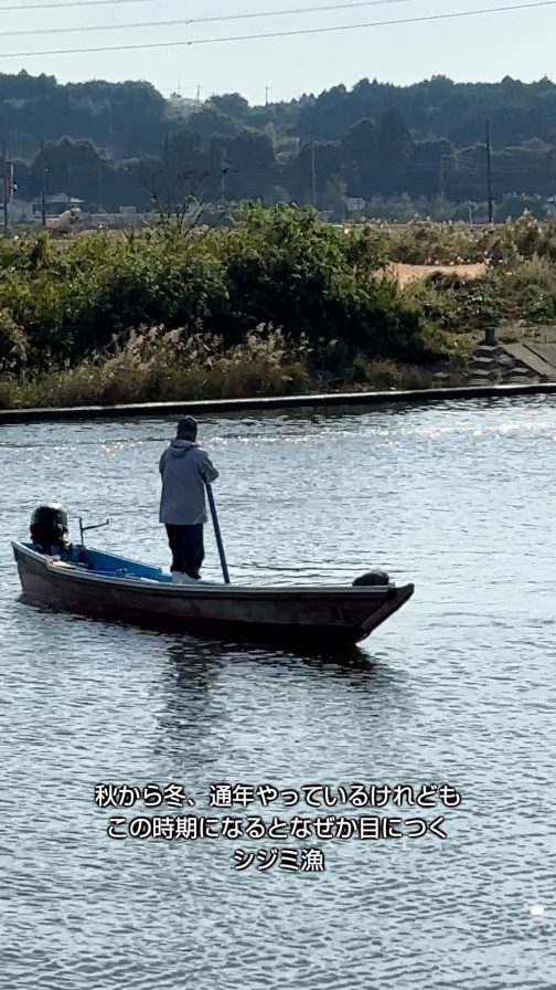 満潮時は海から涸沼へ干潮時は涸沼から海へ流れる、涸沼川のシジミ漁です。流れがほとんどないのに川はすごく深い・・・限られた人だけとはいえ、毎日毎日こうやってしじみをとっていてよくなくなってしまわないものです。