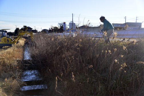 木が生えているのもそうですが、その他の草も背が高く枯れてすごく刈りにくいです。これらが見通しを悪くして地域で生活している人にも危険をもたら足ています。