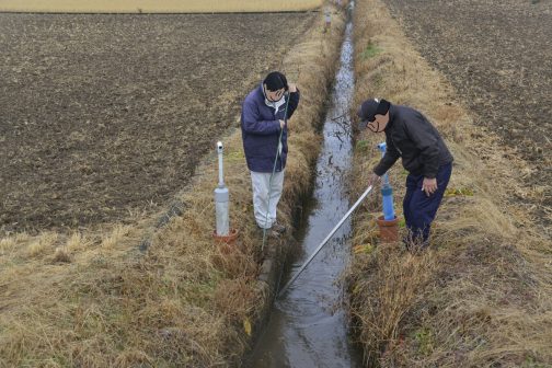 「去年はどこまでやったんだっけ？」と見ている写真です。実は写っている人物より奥の水路の柵板は交換したばかり・・・実際に1年経過した時点ではすっかり茶色に煮締まっていてよくよく見て柵板のコンクリートの角が立っていることを確認しないとわからないんです。