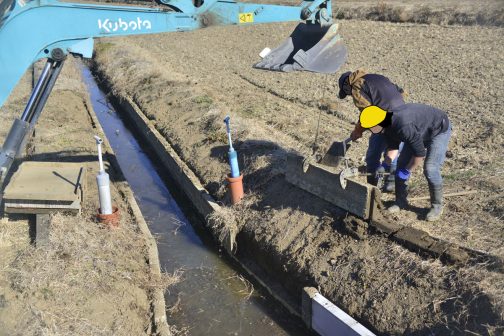 排水路には氷が張っています。また、、柵板にこびり付いた土は凍っているのでちょっと大変だったみたいです。もしかしたら柵板を抜くのに苦労していたのもこじょのところ冷え込みが厳しく土が凍っていたせいかもしれません。