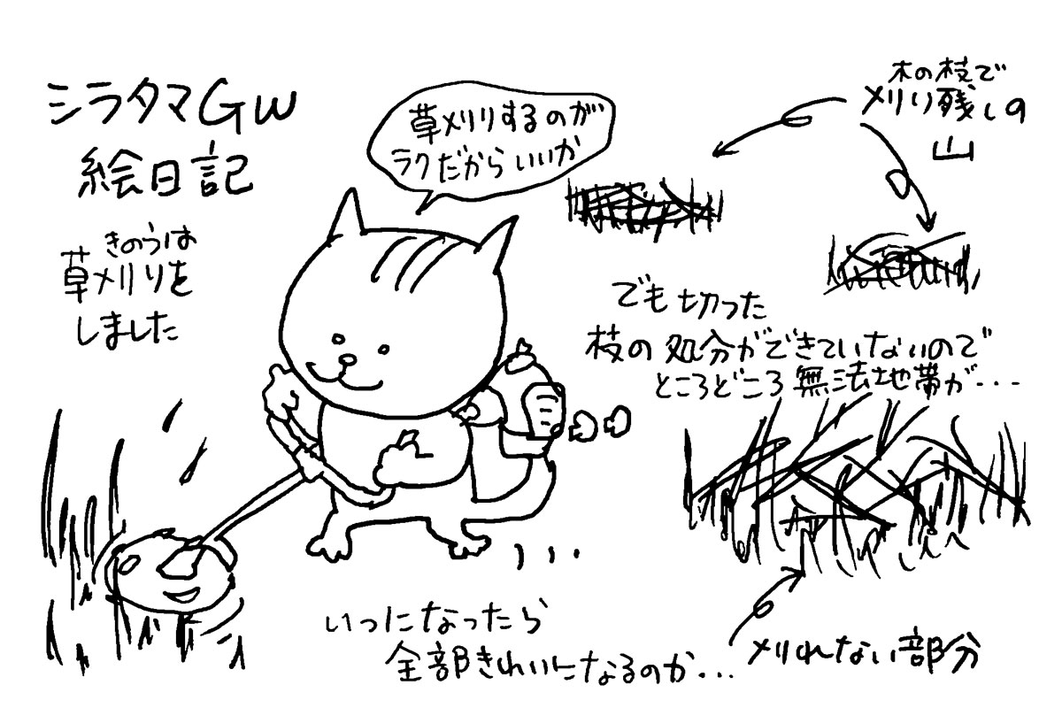 昨日は草刈りをしました。周りは田んぼだらけなのでしないわけにはいかず冬の間に切った木の枝がまだあちこちに残っていて処分できていません。（まだずいぶんかかる予定）そこだけ草が刈れないのでボサっと山になっています。