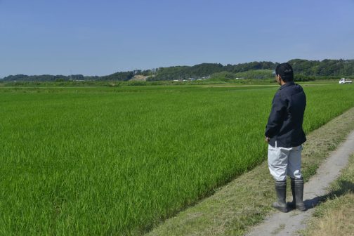 あとで「写真がない」となっても困るので点検の写真を撮っておきます。遊休農地が見えないか農地を点検してしています。